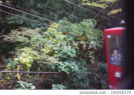 一輛紅色纜車穿過森林 一輛紅色纜車穿過森林 142956179