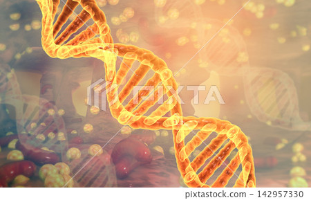 DNA structure DNA structure 142957330