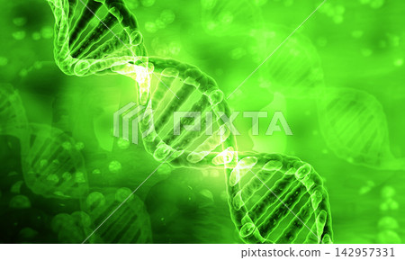 DNA structure DNA structure 142957331