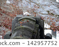 Roof and maple 142957752