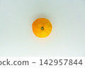 oranges on white background 142957844