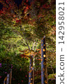 Autumn leaves and bamboo lanterns at night 142958021