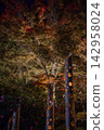 Autumn leaves and bamboo lanterns floating in the dark night 142958024