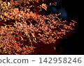 Autumn leaves 142958246