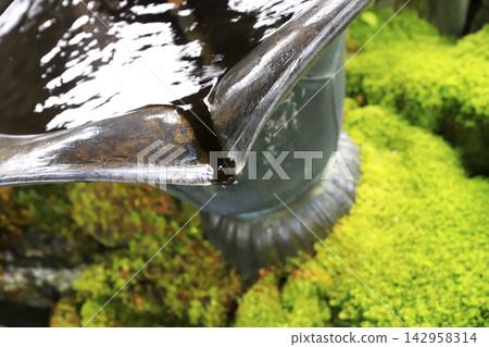 第 12 座寺廟,丸山正壽院正山寺:苔蘚覆蓋的水池和水亭。 第 12 座寺廟,丸山正壽院正山寺:苔蘚覆蓋的水池和水亭。 142958314