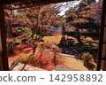 Autumn scenery at Rokuoin Temple (Ukyo Ward, Kyoto City) 142958892