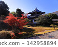 Autumn scenery of the Shariden Hall at Rokuoin Temple (Ukyo Ward, Kyoto City) 142958894