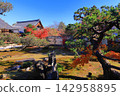 Autumn scenery at Rokuoin Temple (Ukyo Ward, Kyoto City) 142958895