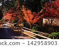 Autumn scenery at Rokuoin Temple (Ukyo Ward, Kyoto City) 142958903
