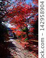 Autumn scenery at Rokuoin Temple (Ukyo Ward, Kyoto City) 142958904