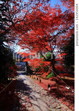 京都市右京區六王院的秋景 京都市右京區六王院的秋景 142958904