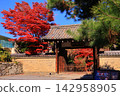 Autumn scenery at Rokuoin Temple (Ukyo Ward, Kyoto City) 142958905