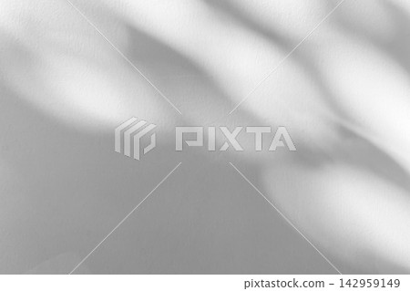 Abstract natural tree branch leaves shadow on white wall background Abstract natural tree branch leaves shadow on white wall background 142959149