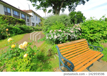 A hill park with a view of the port in full bloom A hill park with a view of the port in full bloom 142959596
