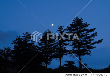 秋季,在長野縣山之內町奧志賀高原的山隘上,夕陽西下,落日餘暉灑在參天大樹後,景色蔚為壯觀。 秋季,在長野縣山之內町奧志賀高原的山隘上,夕陽西下,落日餘暉灑在參天大樹後,景色蔚為壯觀。 142959717
