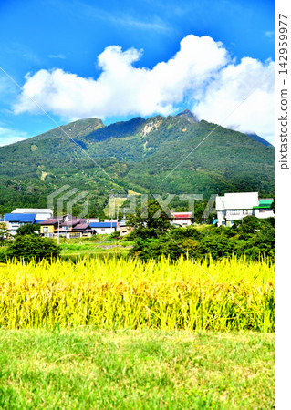 妙高杉原滑雪場週邊景色（新潟縣妙高市）[2026.9] 142959977