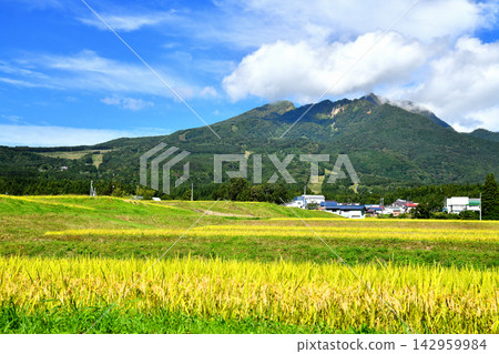View of the area around Myoko Suginohara Ski Resort (Myoko City, Niigata Prefecture) [2026.9] 142959984