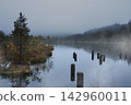 Misty forest lake shrouded in cool morning mist 142960011