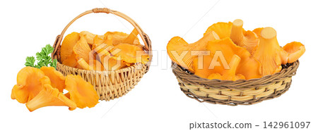 Chanterelle mushrooms in a wicker basket isolated on a white background 142961097