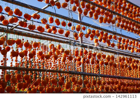 Dried persimmons are made by peeling the persimmons and drying them in the winter sun. November 28th Koshu Persimmon Blinds - Matsusato area, Koshu City Dried persimmons are made by peeling the persimmons and drying them in the winter sun. November 28th Koshu Persimmon Blinds - Matsusato area, Koshu City 142961113
