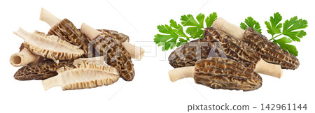 raw morel mushroom isolated on white background with full depth of field raw morel mushroom isolated on white background with full depth of field 142961144