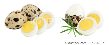 boiled quail egg isolated on white background with full depth of field boiled quail egg isolated on white background with full depth of field 142961148