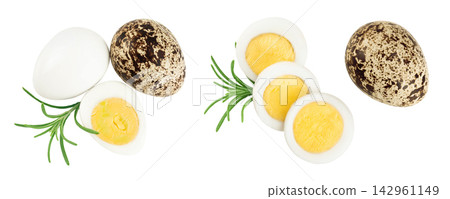 boiled quail egg isolated on white background with full depth of field. Top view. Flat lay boiled quail egg isolated on white background with full depth of field. Top view. Flat lay 142961149