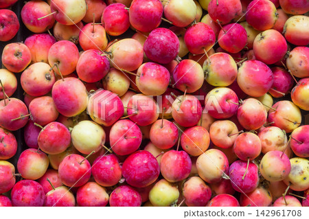 Full frame background of fresh ripe ranetka apples with vibrant red and yellow skin, top view pattern of small crabapples. Full frame background of fresh ripe ranetka apples with vibrant red and yellow skin, top view pattern of small crabapples. 142961708