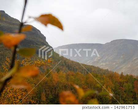 Autumn Adventure Travel Destination in Khibiny Mountains Arctic Valley Autumn Adventure Travel Destination in Khibiny Mountains Arctic Valley 142961753