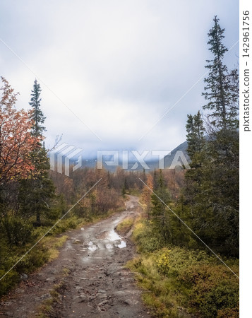 Remote off-road track leading through autumn forest and tundra towards misty Khibiny mountains under cloudy sky 142961756
