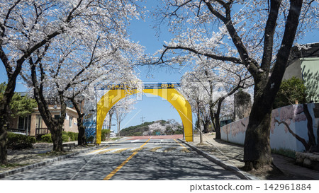The entrance to the Jecheon Cheongpungho Cherry Blossom Festival venue The entrance to the Jecheon Cheongpungho Cherry Blossom Festival venue 142961884