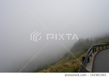 被霧覆蓋的道路 142961901
