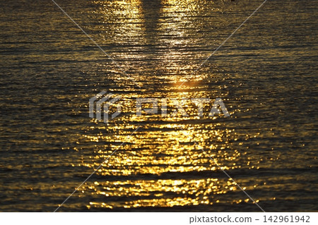 Background sea, ocean. Ride the waves in the ocean. Sea waves on the shore of the ocean. Background of sea foam wave. Log on the seashore, ocean. Background sea, ocean. Ride the waves in the ocean. Sea waves on the shore of the ocean. Background of sea foam wave. Log on the seashore, ocean. 142961942