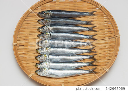 Sardines arranged on a sieve, after being salted for overnight drying. Sardines arranged on a sieve, after being salted for overnight drying. 142962069