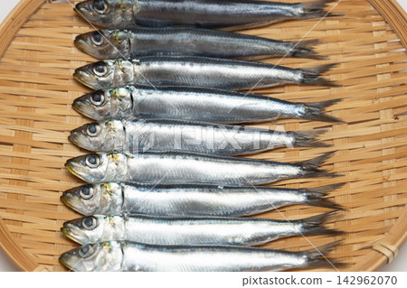 沙丁魚醃製過夜後,擺放在篩子上風乾。 沙丁魚醃製過夜後,擺放在篩子上風乾。 142962070