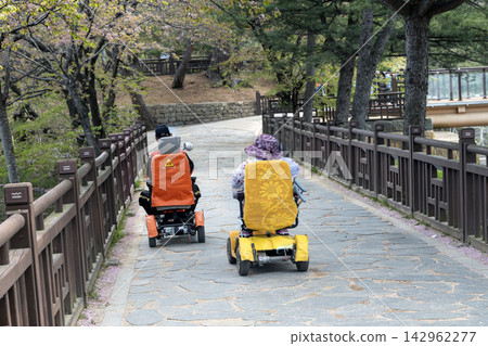 An Outing for People with Disabilities An Outing for People with Disabilities 142962277