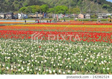 Hamura City Tulip Square Hamura City Tulip Square 142962524