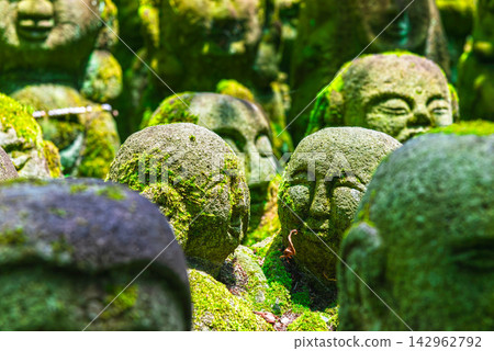 京都之夏:愛宕念佛寺、1200尊羅漢像 京都之夏:愛宕念佛寺、1200尊羅漢像 142962792