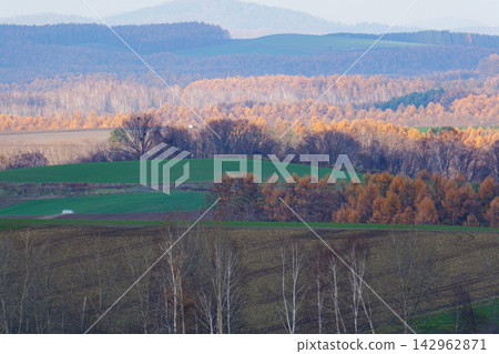 Scenery of Biei in November Scenery of Biei in November 142962871