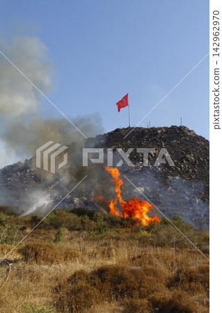 Red raging flame of fire burn in grass fields, forests and black and white smoke to sky. Big wildfire close-up. pollution in air concept. 142962970