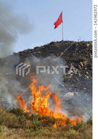 Red raging flame of fire burn in grass fields, forests and black and white smoke to sky. Big wildfire close-up. pollution in air concept. 142962972