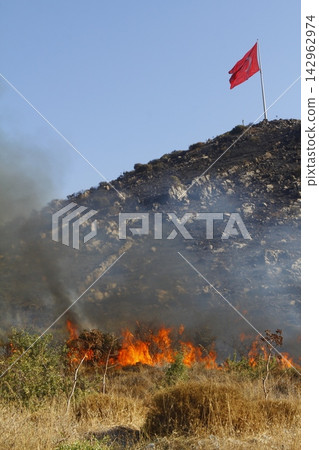 Red raging flame of fire burn in grass fields, forests and black and white smoke to sky. Big wildfire close-up. pollution in air concept. 142962974
