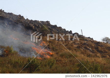 Red raging flame of fire burn in grass fields, forests and black and white smoke to sky. Big wildfire close-up. pollution in air concept. Red raging flame of fire burn in grass fields, forests and black and white smoke to sky. Big wildfire close-up. pollution in air concept. 142962976