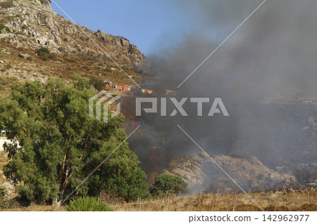 Red raging flame of fire burn in grass fields, forests and black and white smoke to sky. Big wildfire close-up. pollution in air concept. 142962977