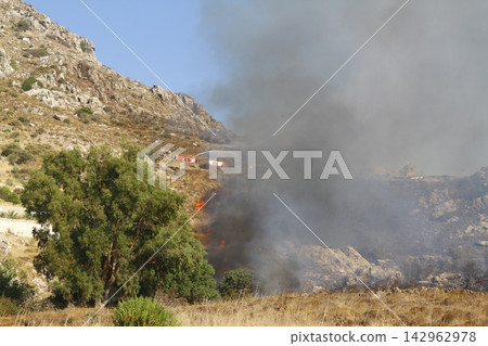 Red raging flame of fire burn in grass fields, forests and black and white smoke to sky. Big wildfire close-up. pollution in air concept. Red raging flame of fire burn in grass fields, forests and black and white smoke to sky. Big wildfire close-up. pollution in air concept. 142962978