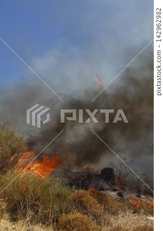 Red raging flame of fire burn in grass fields, forests and black and white smoke to sky. Big wildfire close-up. pollution in air concept. 142962982