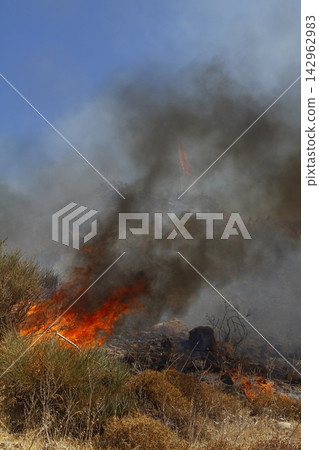 Red raging flame of fire burn in grass fields, forests and black and white smoke to sky. Big wildfire close-up. pollution in air concept. Red raging flame of fire burn in grass fields, forests and black and white smoke to sky. Big wildfire close-up. pollution in air concept. 142962983
