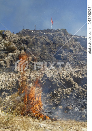 Red raging flame of fire burn in grass fields, forests and black and white smoke to sky. Big wildfire close-up. pollution in air concept. Red raging flame of fire burn in grass fields, forests and black and white smoke to sky. Big wildfire close-up. pollution in air concept. 142962984