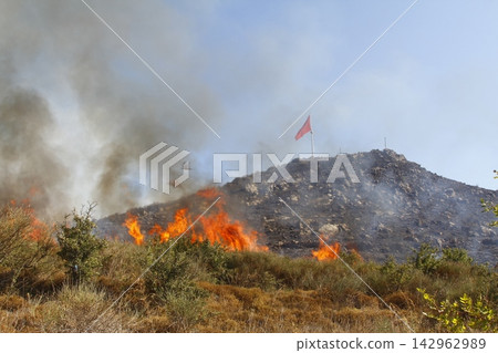 Red raging flame of fire burn in grass fields, forests and black and white smoke to sky. Big wildfire close-up. pollution in air concept. Red raging flame of fire burn in grass fields, forests and black and white smoke to sky. Big wildfire close-up. pollution in air concept. 142962989