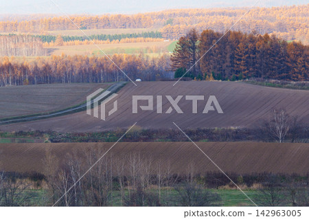 Scenery of Biei in November Scenery of Biei in November 142963005